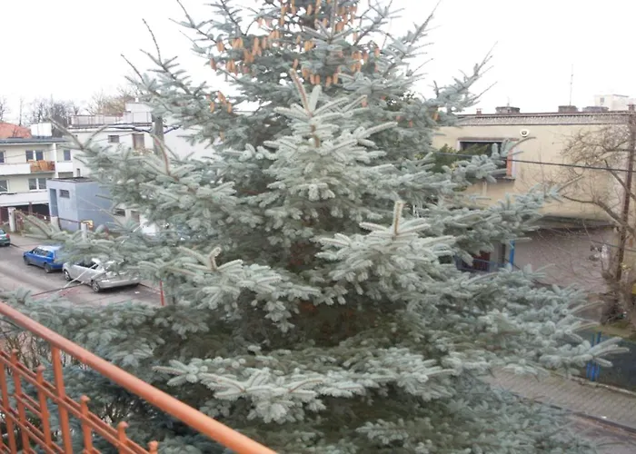 2C Klimatyzacja Mieszkanie Normalne Dwupokojowe Nieprzechodnie Halczyna 9 Krakow Alfa