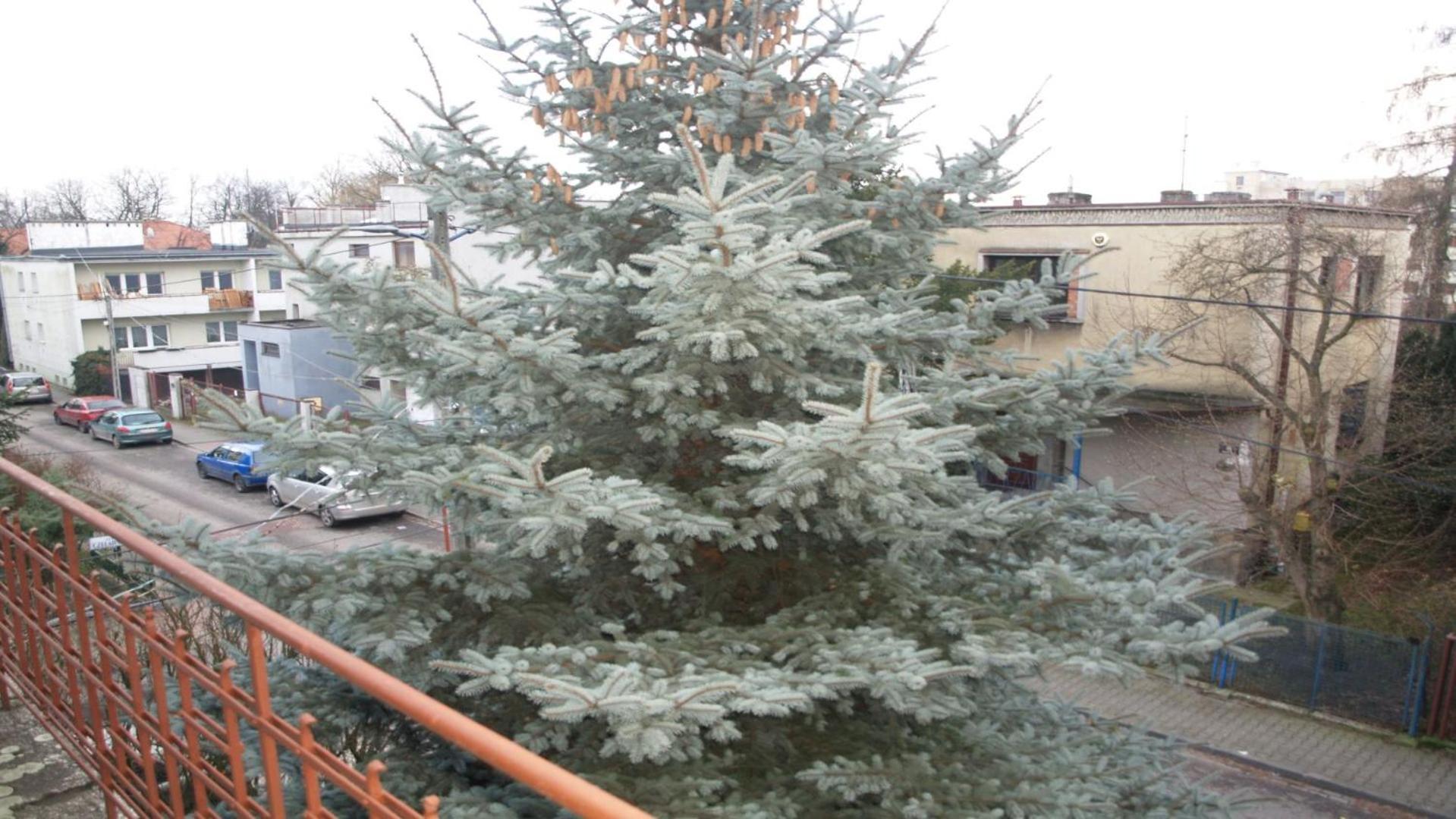 2c Klimatyzacja Mieszkanie Normalne Dwupokojowe Nieprzechodnie Halczyna 9 Alfa *